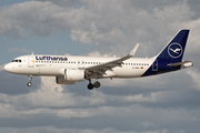 Lufthansa Airbus A320-271N (D-AINO) at  Hamburg - Fuhlsbuettel (Helmut Schmidt), Germany