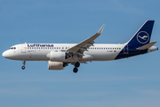 Lufthansa Airbus A320-271N (D-AINP) at  Frankfurt am Main, Germany