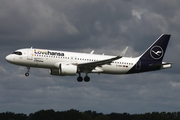 Lufthansa Airbus A320-271N (D-AINY) at  Hamburg - Fuhlsbuettel (Helmut Schmidt), Germany