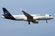 Lufthansa Airbus A320-271N (D-AINY) at  Tenerife Sur - Reina Sofia, Spain