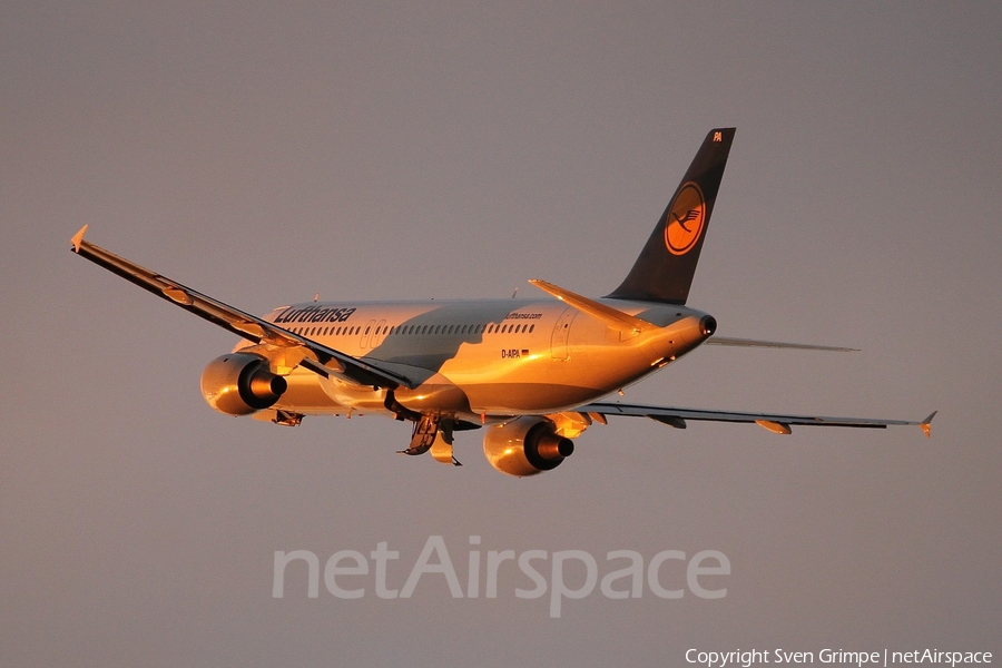 Lufthansa Airbus A320-211 (D-AIPA) | Photo 16683