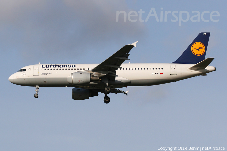 Lufthansa Airbus A320-211 (D-AIPA) | Photo 71382