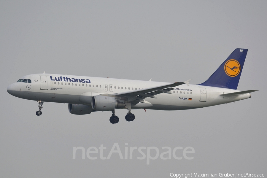 Lufthansa Airbus A320-211 (D-AIPA) | Photo 112031