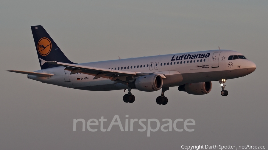 Lufthansa Airbus A320-211 (D-AIPB) | Photo 226686