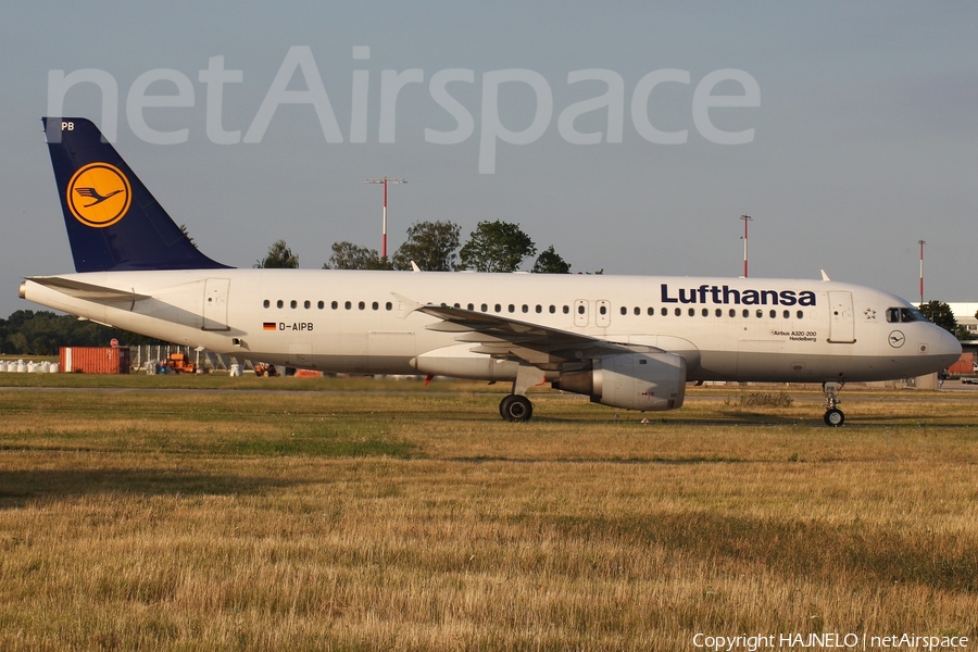 Lufthansa Airbus A320-211 (D-AIPB) | Photo 258399
