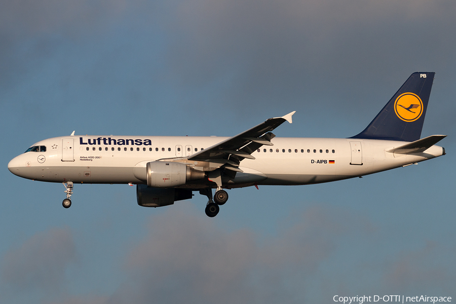 Lufthansa Airbus A320-211 (D-AIPB) | Photo 191792