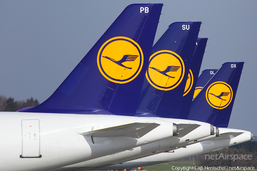 Lufthansa Airbus A320-211 (D-AIPB) | Photo 70679
