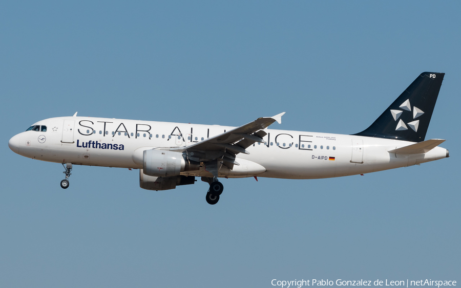 Lufthansa Airbus A320-211 (D-AIPD) | Photo 337077