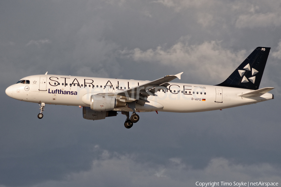 Lufthansa Airbus A320-211 (D-AIPD) | Photo 345421