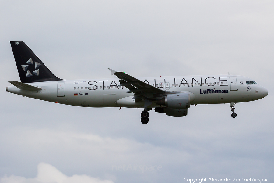 Lufthansa Airbus A320-211 (D-AIPD) | Photo 409795