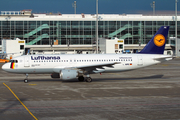 Lufthansa Airbus A320-211 (D-AIPE) at  Munich, Germany