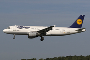 Lufthansa Airbus A320-211 (D-AIPF) at  Hamburg - Fuhlsbuettel (Helmut Schmidt), Germany