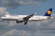 Lufthansa Airbus A320-211 (D-AIPF) at  Hamburg - Fuhlsbuettel (Helmut Schmidt), Germany