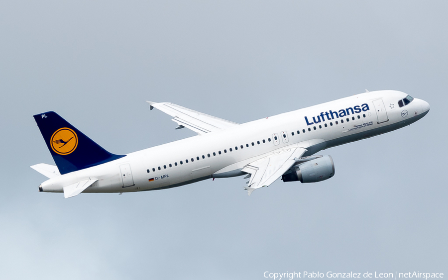 Lufthansa Airbus A320-211 (D-AIPL) | Photo 348511