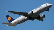 Lufthansa Airbus A320-211 (D-AIPL) at  Dusseldorf - International, Germany