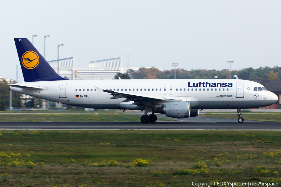 Lufthansa Airbus A320-211 (D-AIPL) | Photo 382768