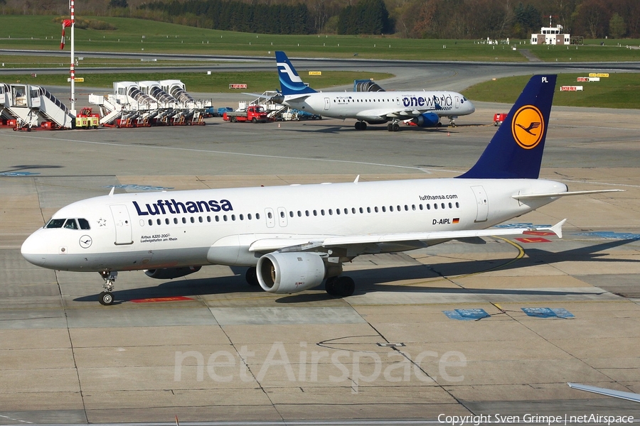 Lufthansa Airbus A320-211 (D-AIPL) | Photo 43428