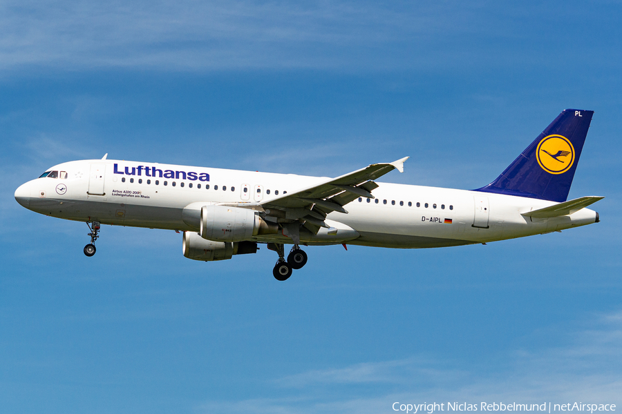 Lufthansa Airbus A320-211 (D-AIPL) | Photo 419991