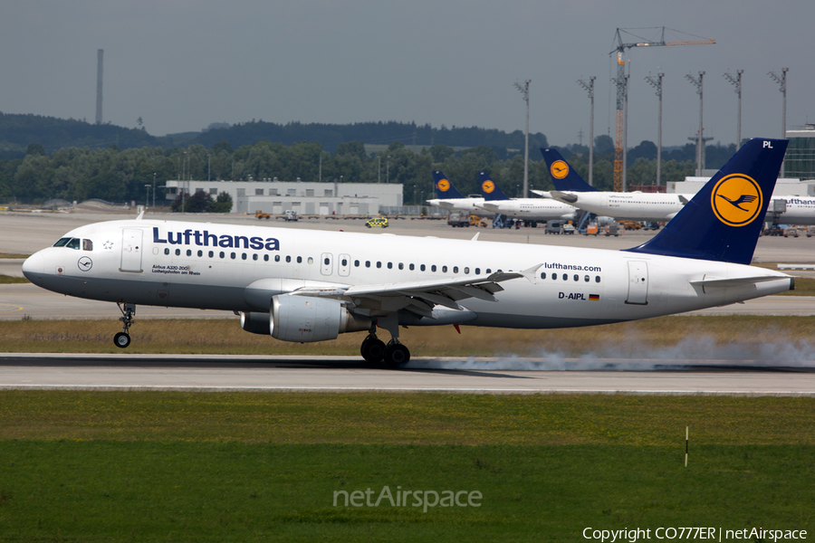 Lufthansa Airbus A320-211 (D-AIPL) | Photo 54089