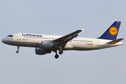 Lufthansa Airbus A320-211 (D-AIPM) at  Frankfurt am Main, Germany