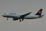 Lufthansa Airbus A320-211 (D-AIPM) at  Frankfurt am Main, Germany