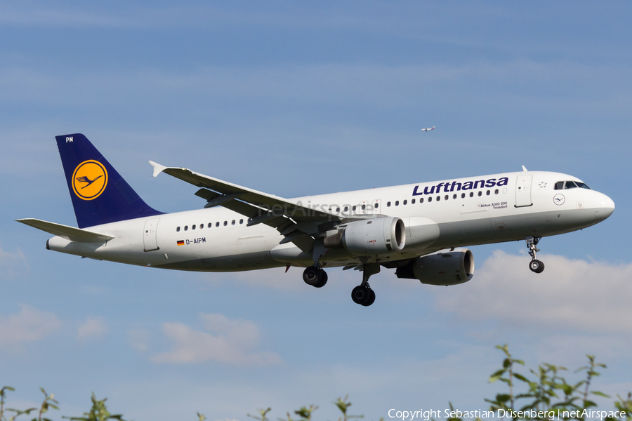 Lufthansa Airbus A320-211 (D-AIPM) | Photo 175294