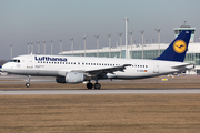 Lufthansa Airbus A320-211 (D-AIPM) at  Munich, Germany