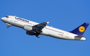 Lufthansa Airbus A320-211 (D-AIPP) at  Barcelona - El Prat, Spain