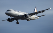 Lufthansa Airbus A320-211 (D-AIPP) at  Frankfurt am Main, Germany