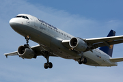 Lufthansa Airbus A320-211 (D-AIPP) at  London - Heathrow, United Kingdom