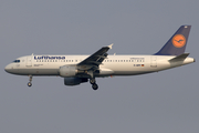 Lufthansa Airbus A320-211 (D-AIPP) at  Milan - Malpensa, Italy