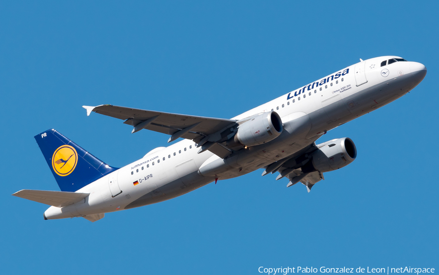 Lufthansa Airbus A320-211 (D-AIPR) | Photo 365934