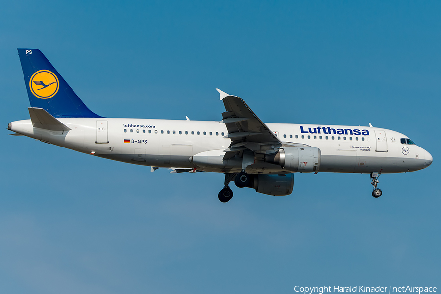 Lufthansa Airbus A320-211 (D-AIPS) | Photo 295416