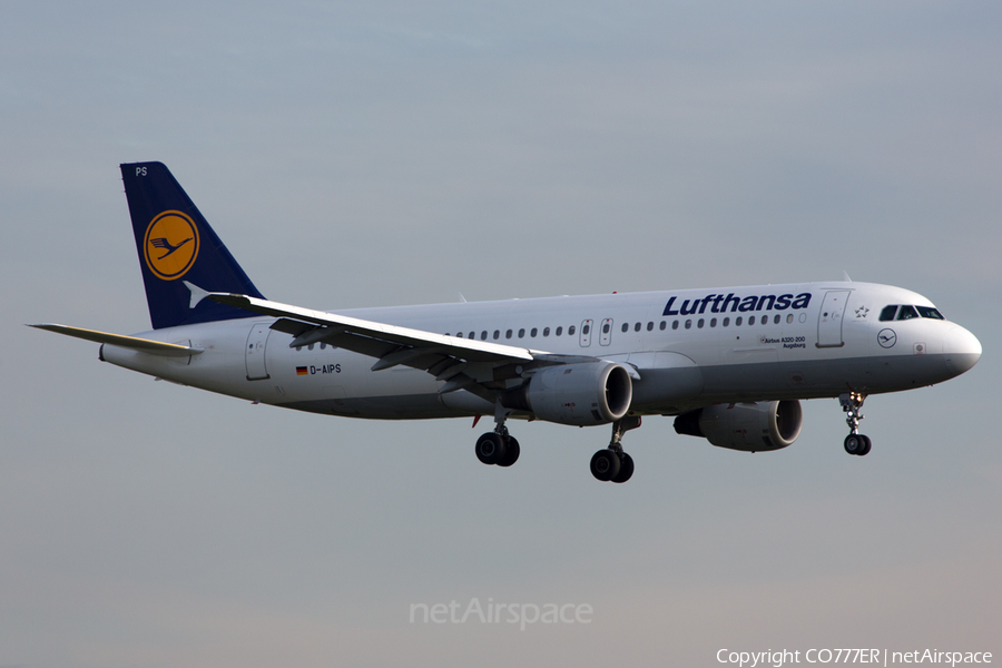 Lufthansa Airbus A320-211 (D-AIPS) | Photo 58485