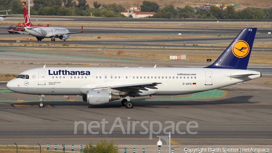 Lufthansa Airbus A320-211 (D-AIPS) | Photo 213007