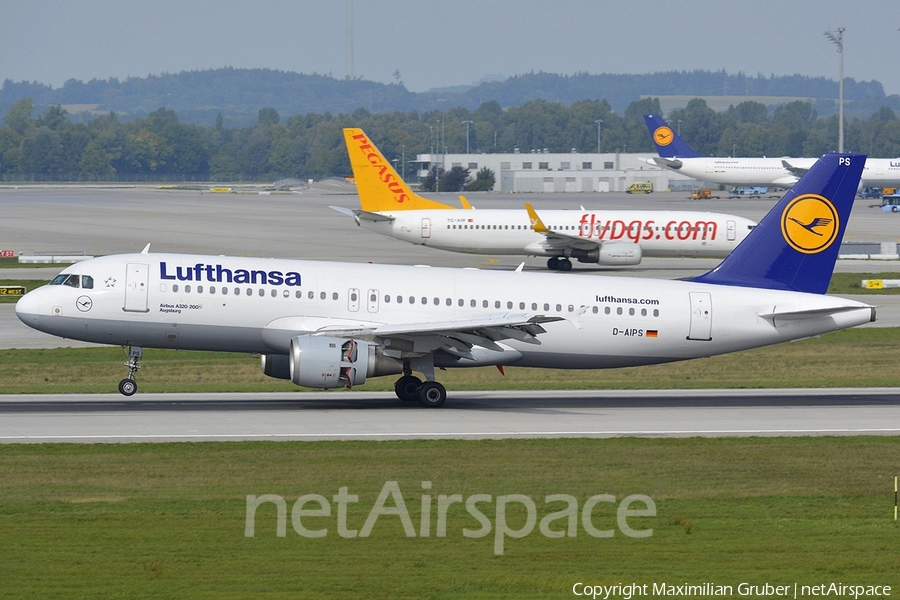 Lufthansa Airbus A320-211 (D-AIPS) | Photo 112303