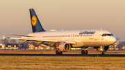 Lufthansa Airbus A320-211 (D-AIPT) at  Amsterdam - Schiphol, Netherlands