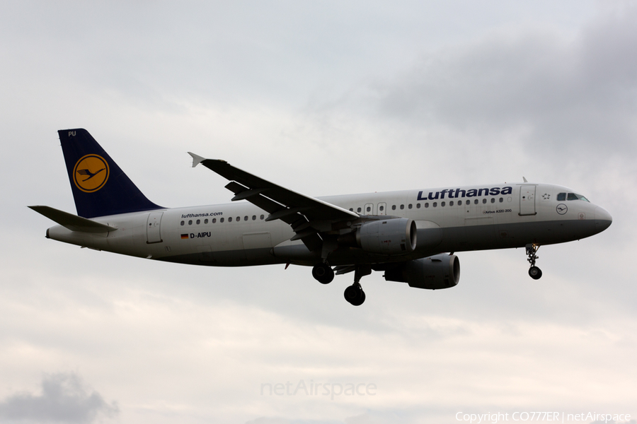Lufthansa Airbus A320-211 (D-AIPU) | Photo 61694
