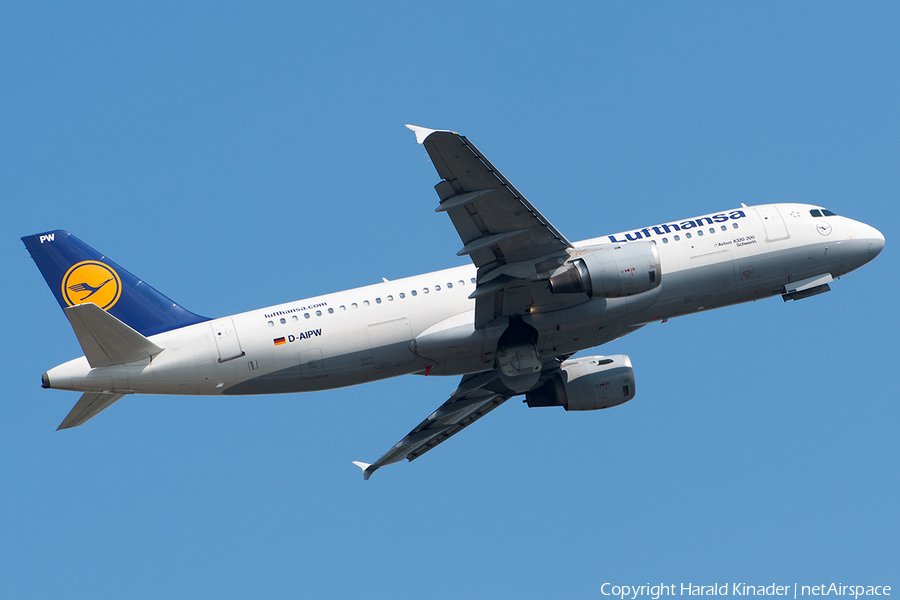 Lufthansa Airbus A320-211 (D-AIPW) | Photo 293466