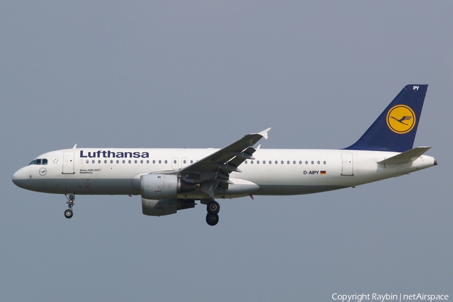 Lufthansa Airbus A320-211 (D-AIPY) | Photo 561689