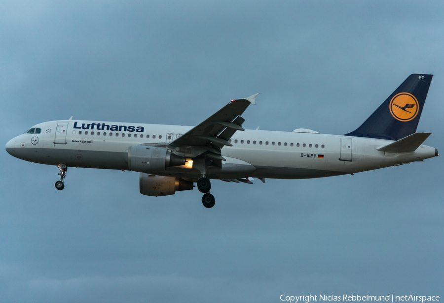 Lufthansa Airbus A320-211 (D-AIPY) | Photo 228881
