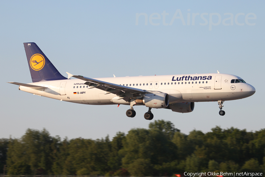 Lufthansa Airbus A320-211 (D-AIPY) | Photo 71390