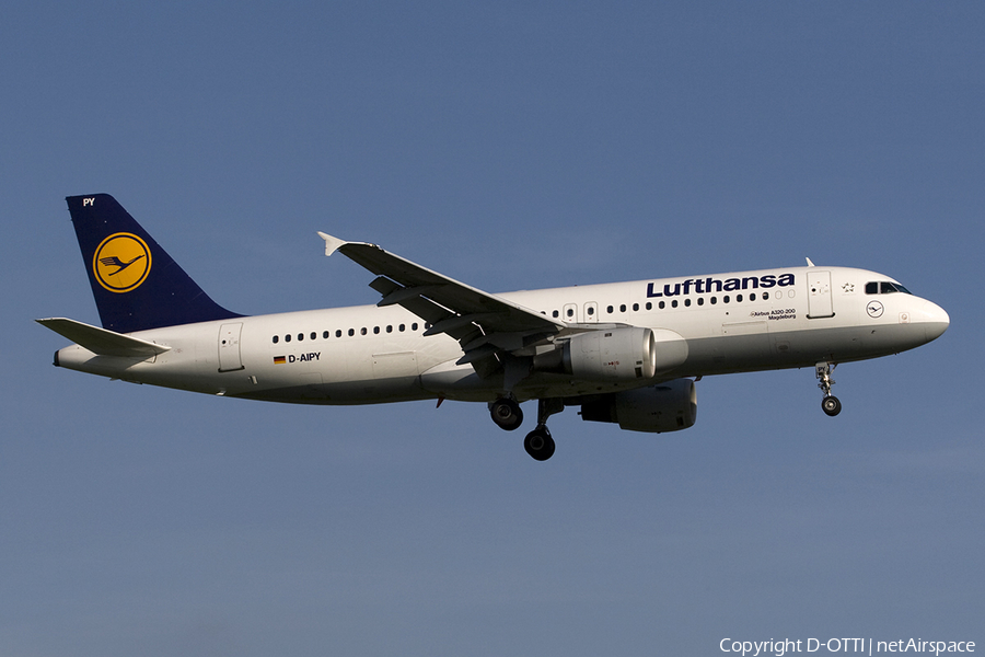 Lufthansa Airbus A320-211 (D-AIPY) | Photo 274820