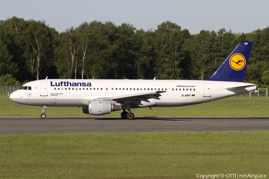 Lufthansa Airbus A320-211 (D-AIPY) | Photo 384024