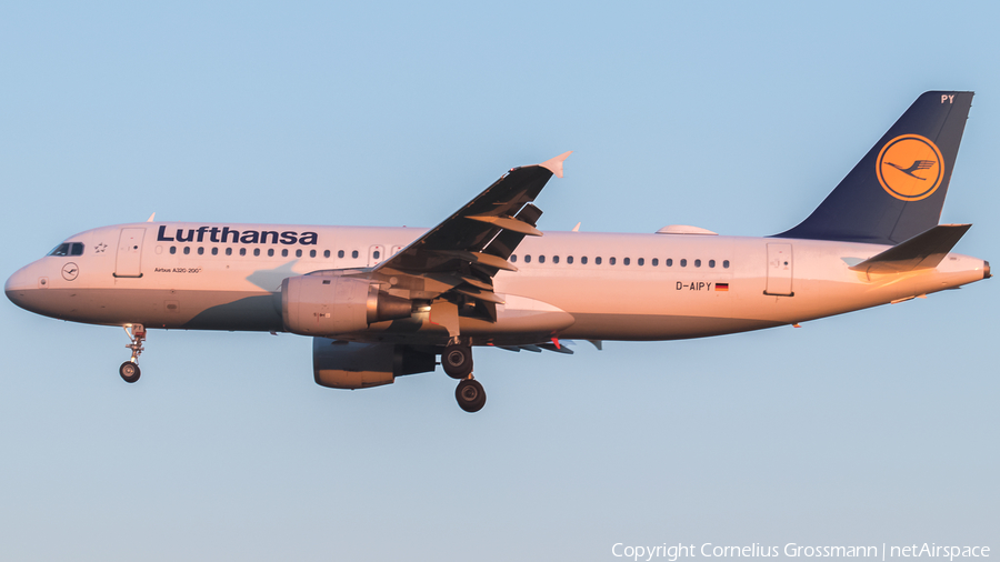 Lufthansa Airbus A320-211 (D-AIPY) | Photo 421214