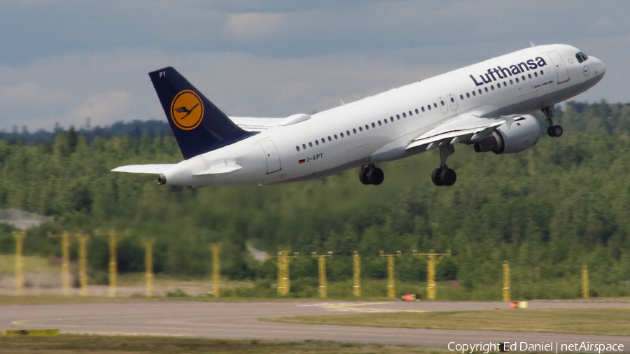 Lufthansa Airbus A320-211 (D-AIPY) | Photo 338506