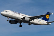 Lufthansa Airbus A320-211 (D-AIPZ) at  London - Heathrow, United Kingdom