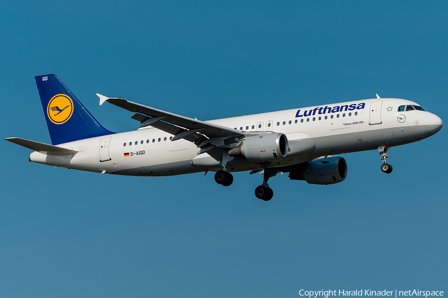 Lufthansa Airbus A320-211 (D-AIQD) | Photo 295366