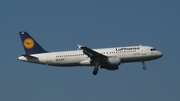 Lufthansa Airbus A320-211 (D-AIQF) at  Dusseldorf - International, Germany