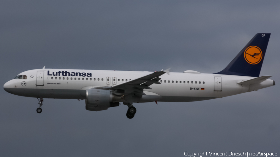 Lufthansa Airbus A320-211 (D-AIQF) | Photo 518387